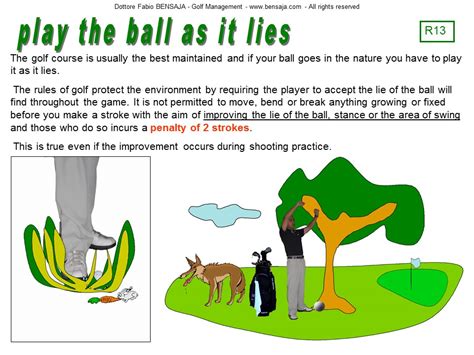 Why is the 'Play the Ball as It Lies' Rule Important?